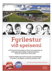 Síða 25