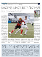 Síða 28