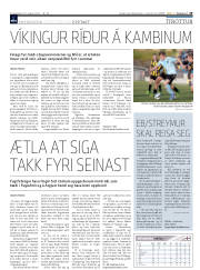 Síða 29