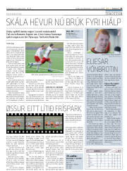 Síða 31