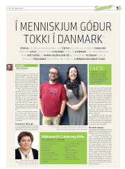 Síða 45