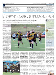 Síða 13