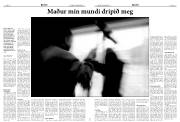 Síða 8
