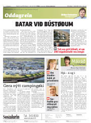Síða 2