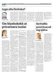 Síða 8