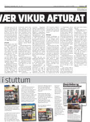 Síða 13