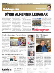 Síða 2