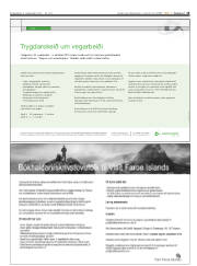 Síða 15