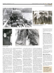 Síða 19