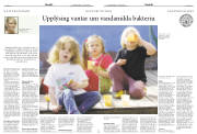 Síða 14