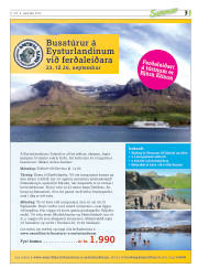 Síða 35
