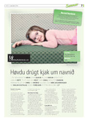 Síða 43