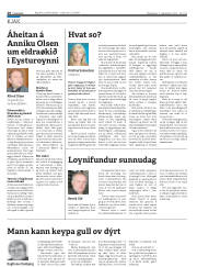 Síða 28