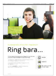 Síða 5