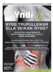 Síða 25