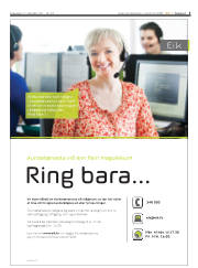 Síða 3