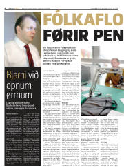 Síða 6