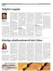 Síða 8
