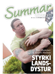 Síða 31