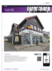 Síða 36