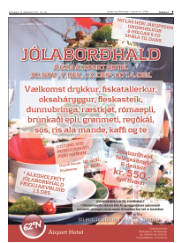 Síða 9