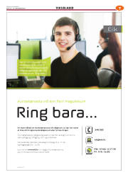 Síða 39