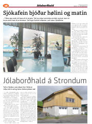 Síða 60