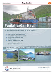 Síða 69
