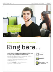 Síða 5