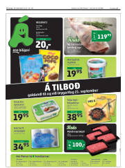 Síða 11