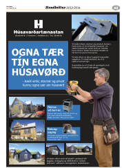 Síða 17