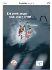 Síða 19