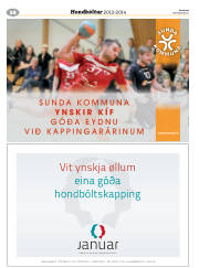 Síða 20