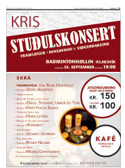 Síða 25