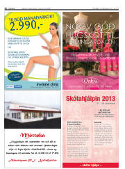 Síða 30