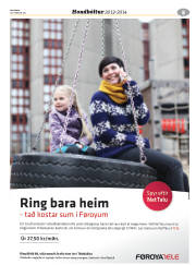 Síða 33