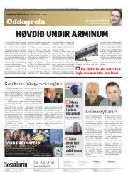 Síða 2