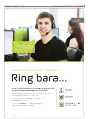 Síða 3