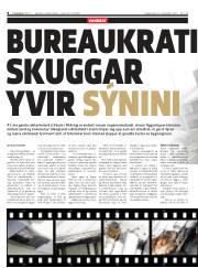 Síða 8