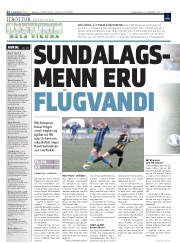 Síða 22