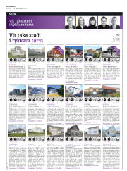 Síða 31