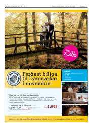 Síða 3