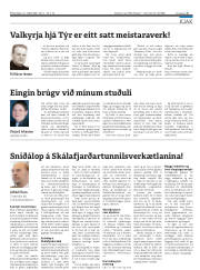 Síða 25