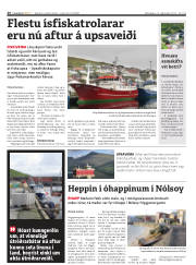 Síða 26
