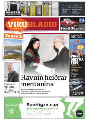 Síða 33