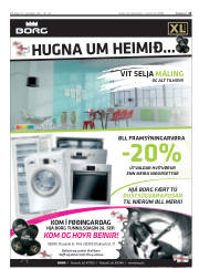 Síða 13