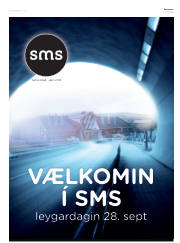 Síða 21