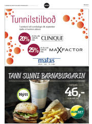 Síða 31