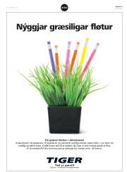 Síða 33