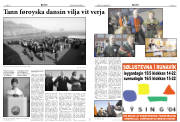 Síða 8